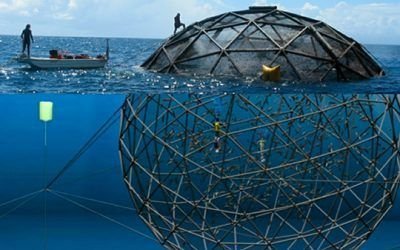 Domos Geodésicos piscifactorias. Acuicultura en un mundo sostenible.