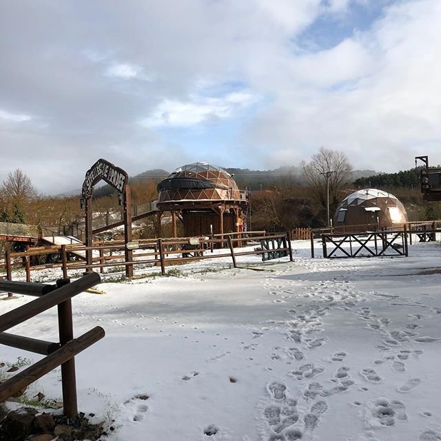 iglus de les estrelles glamping