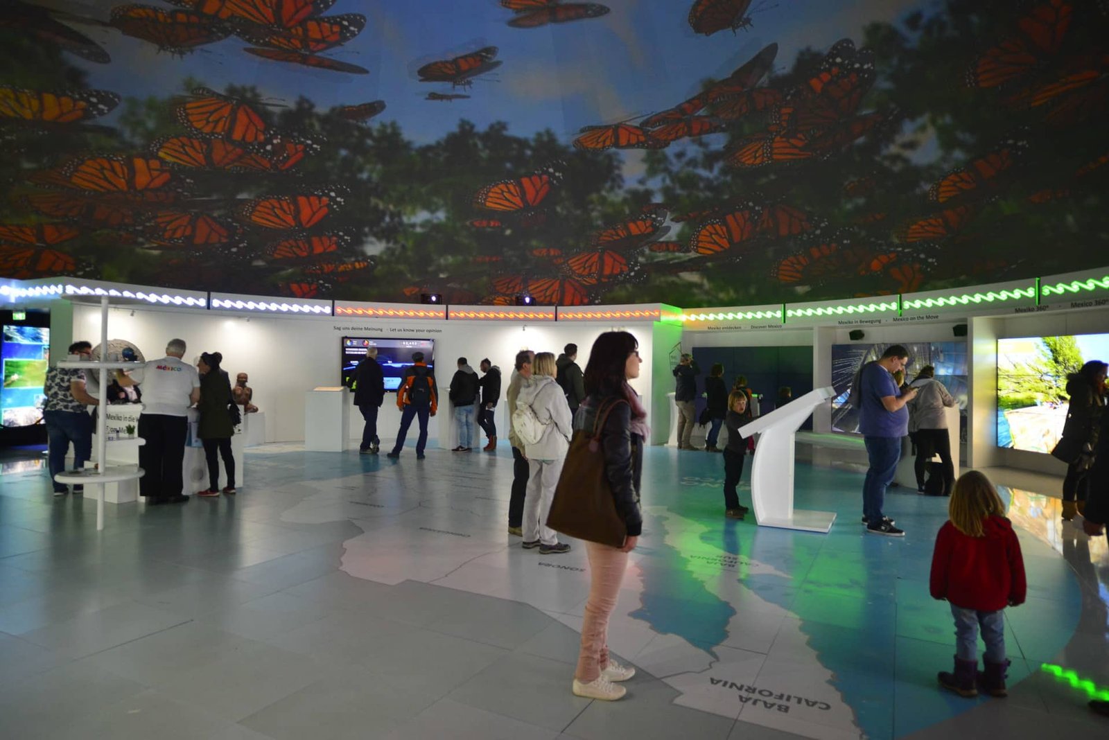 carpas geodésicas carpas geodésicas