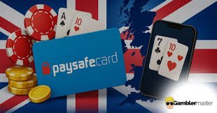 Online Casino med Paysafe Sikkerhed og Bekvemmelighed -1927384449